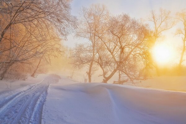 Sonniger Wintertag. Weg. Landschaft