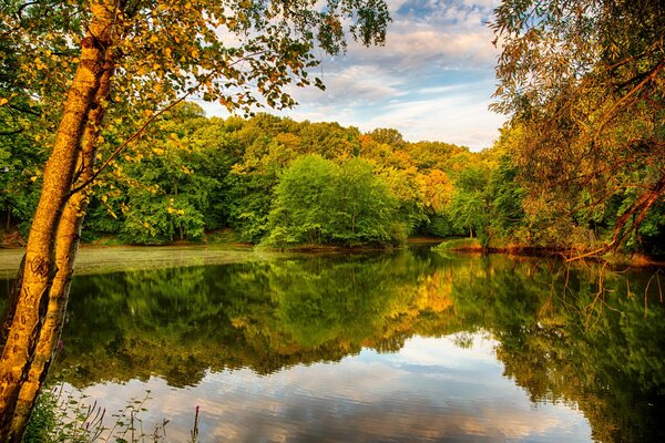 Golden sehr am Flussufer