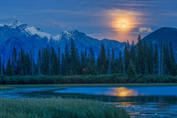 Canadá, lago Vermillion, Lena y el bosque en la Luna llena