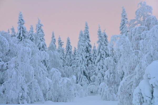 Oh snow, snowball, white snowstorm