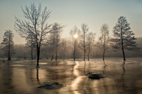 Очень красиво в морозном лесу