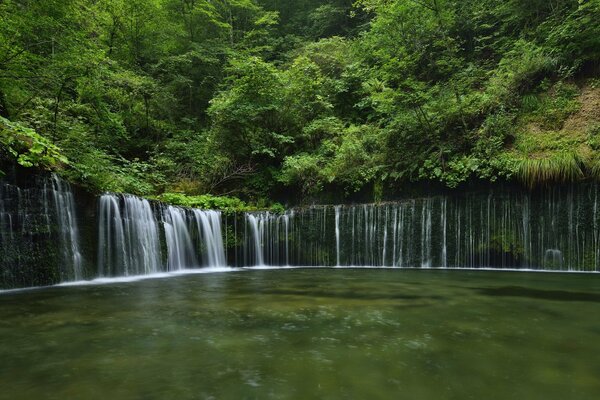 Cascada Shiraito en Japón rodeada de un bosque verde