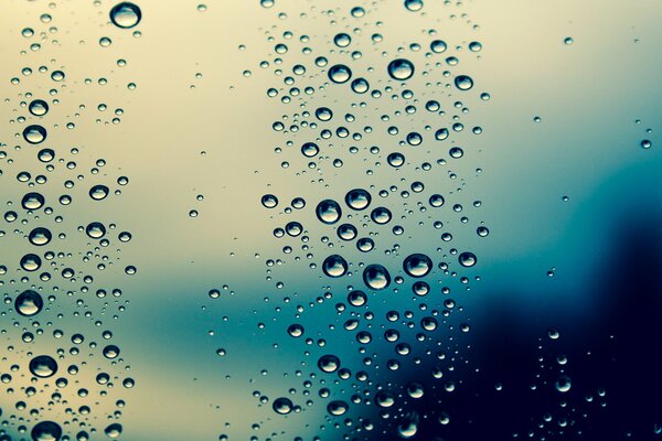 Raindrops on the glass