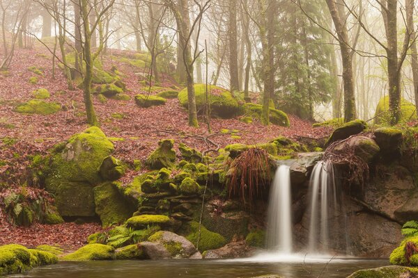 Wald Wasserfall im Herbstwald