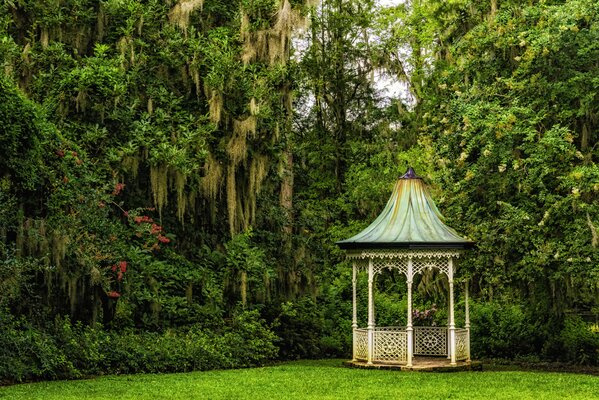 Gazebo under the shade of magnolias in Charleston