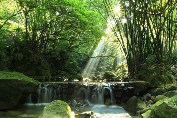 Rayon de soleil sur la cascade de la forêt