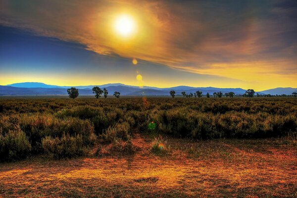 Paesaggio con il bagliore del sole sulla brughiera erbosa