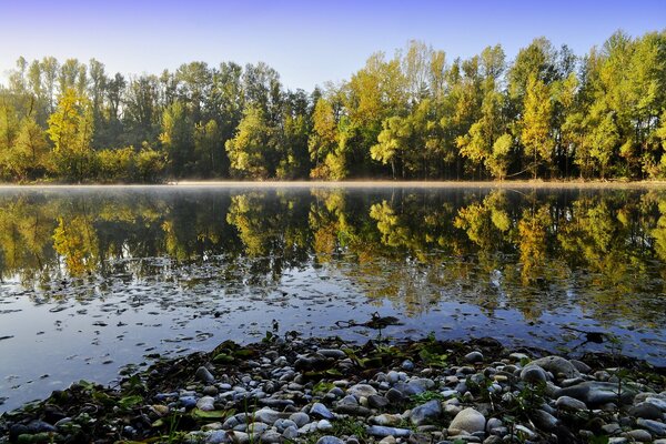 Superficie dello specchio del Lago. Autunno