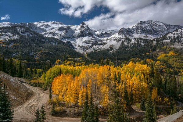 La strada tra le montagne e la foresta autunnale