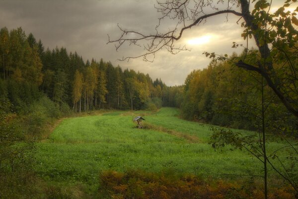 Nuvoloso giorno d autunno sulla radura