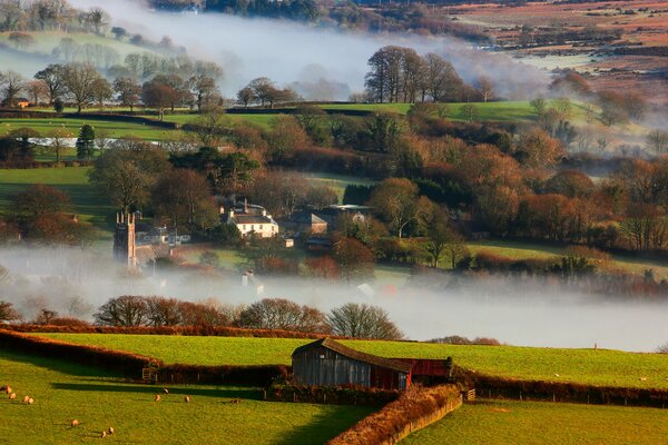 Foggy morning in a residential village