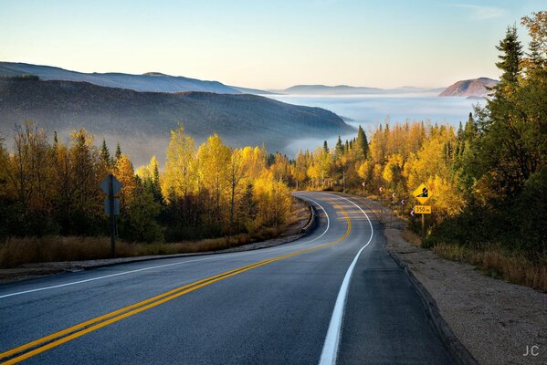 Herbststraße in einen hellen Wald mit Dunst