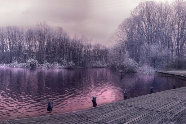 Quai sur fond de lac avec reflet de la forêt