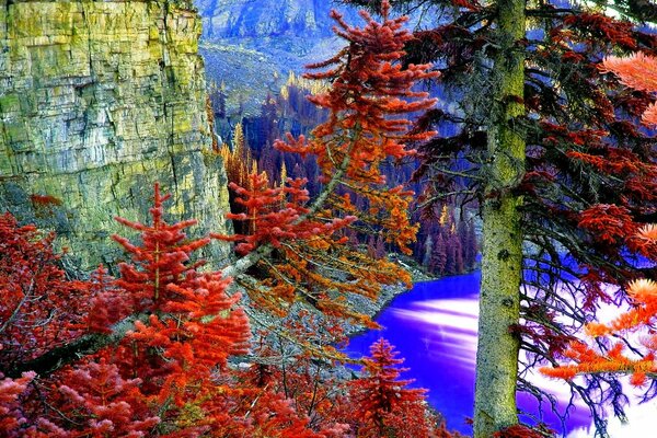 Ungewöhnlicher roter Wald in der Nähe eines Bergsees