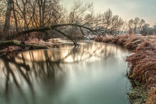 Morning sunrise on the river bank