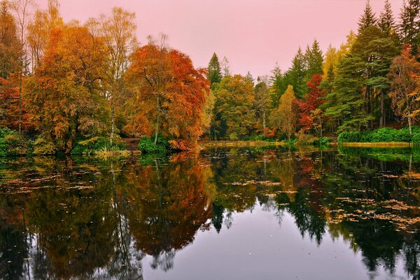 Beautiful autumn forest around the lake