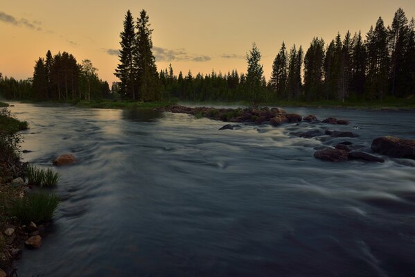 Foto bosque ríos naturaleza