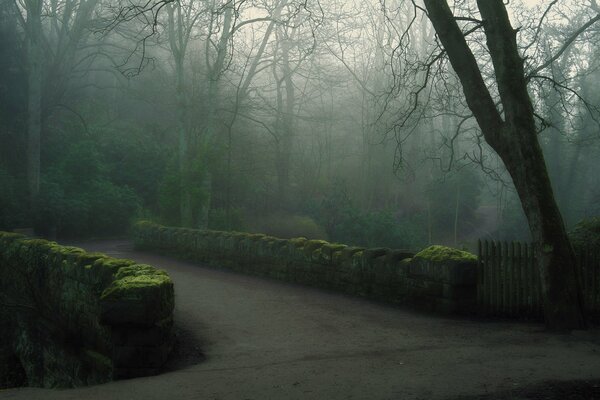 Brücke im nebligen Morgenpark