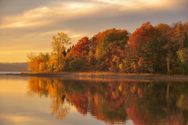 Reflexion des Herbstwaldes im See