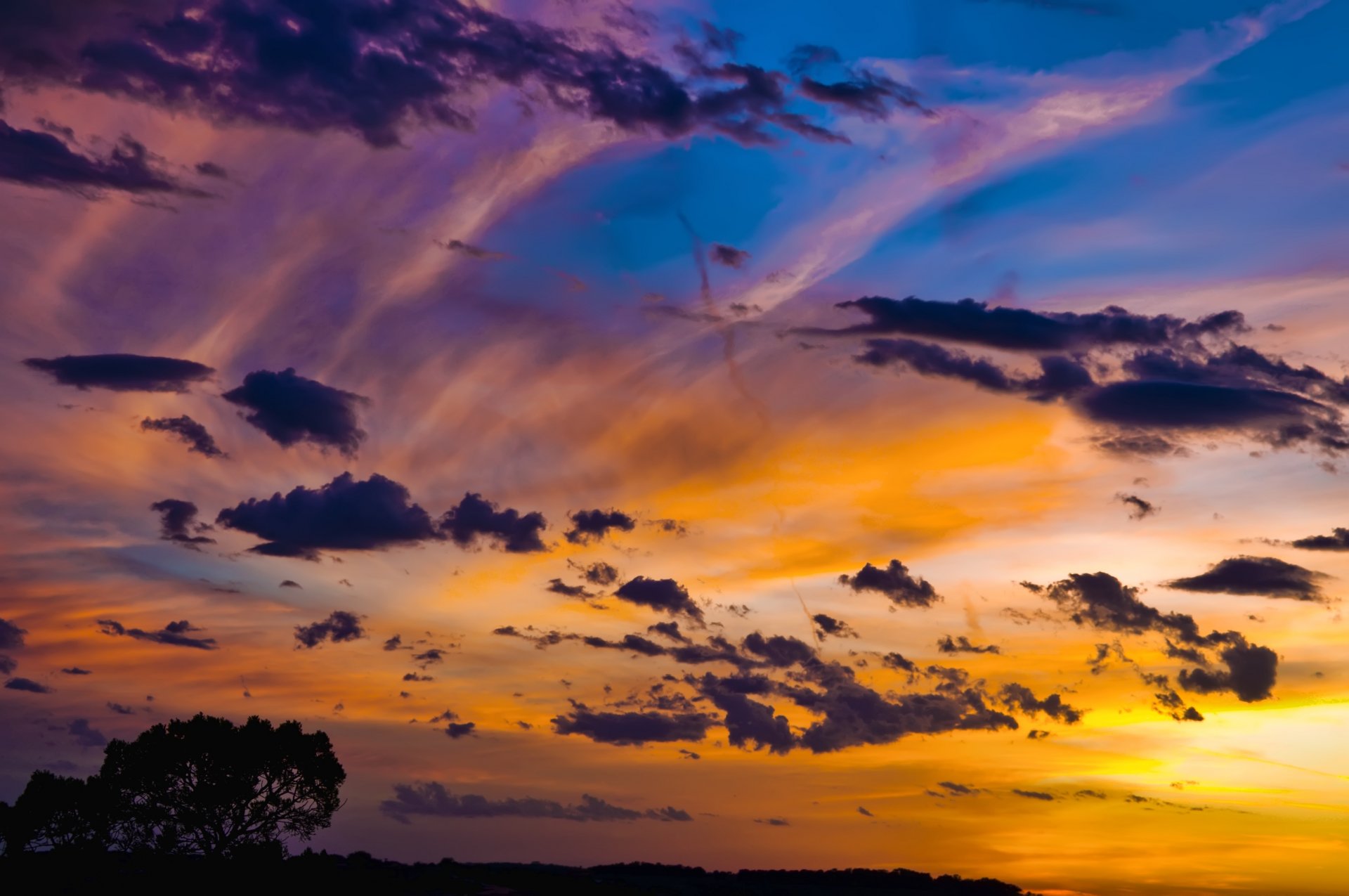 cielo nubes puesta de sol árbol