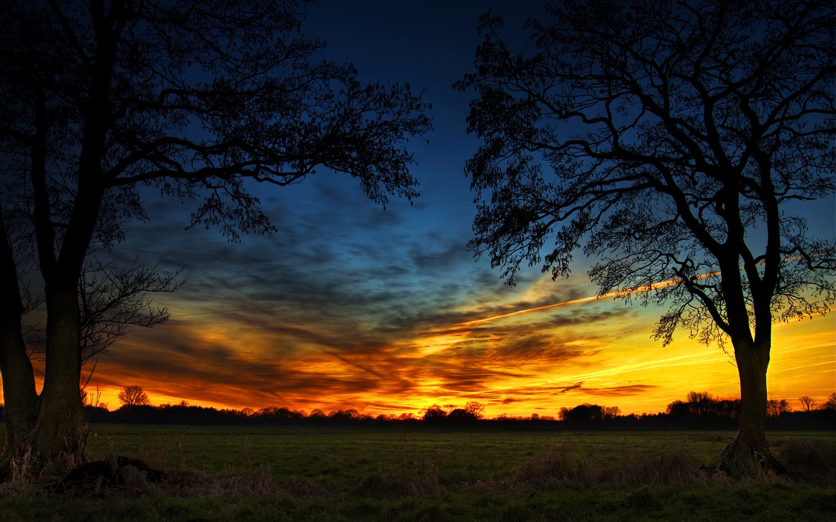 baum feld sonnenuntergang grün