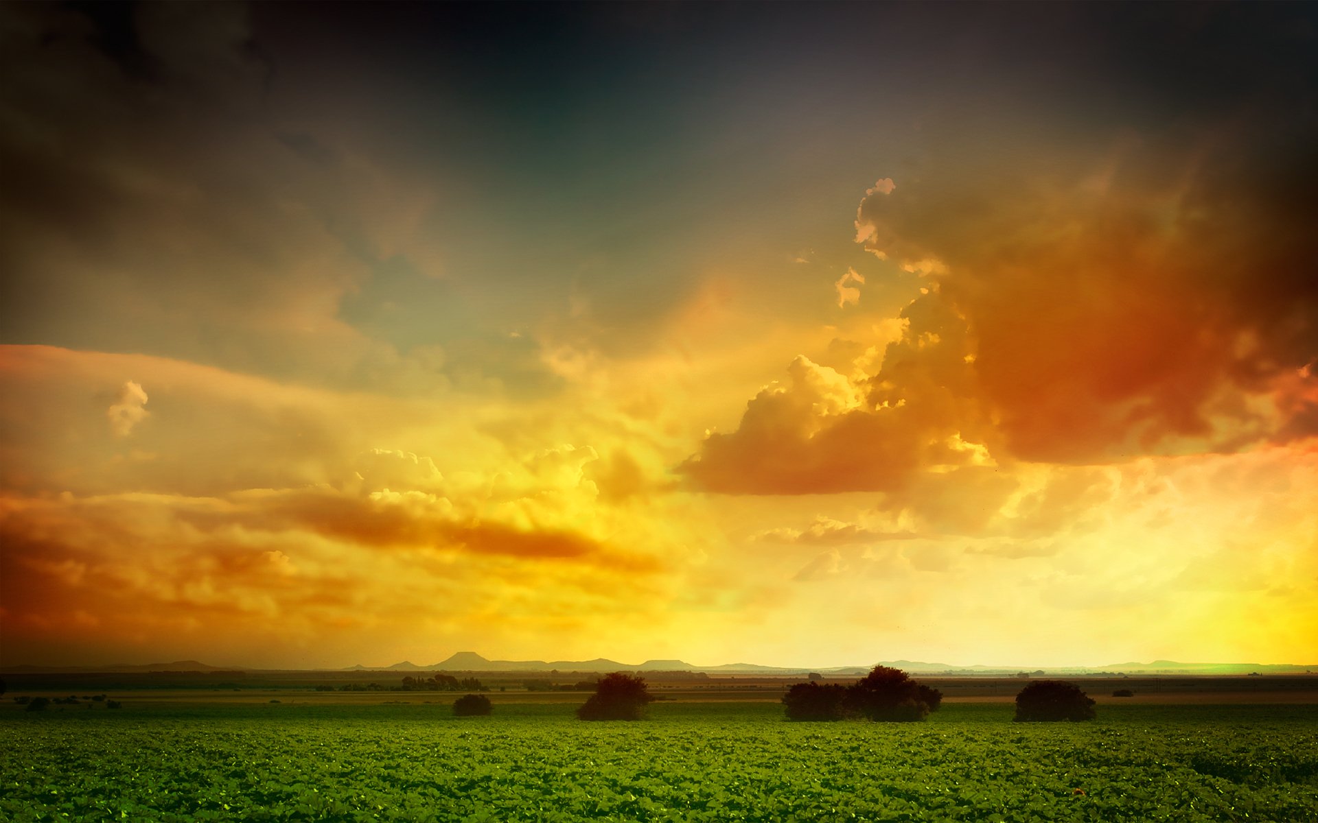 clouds green tree the field