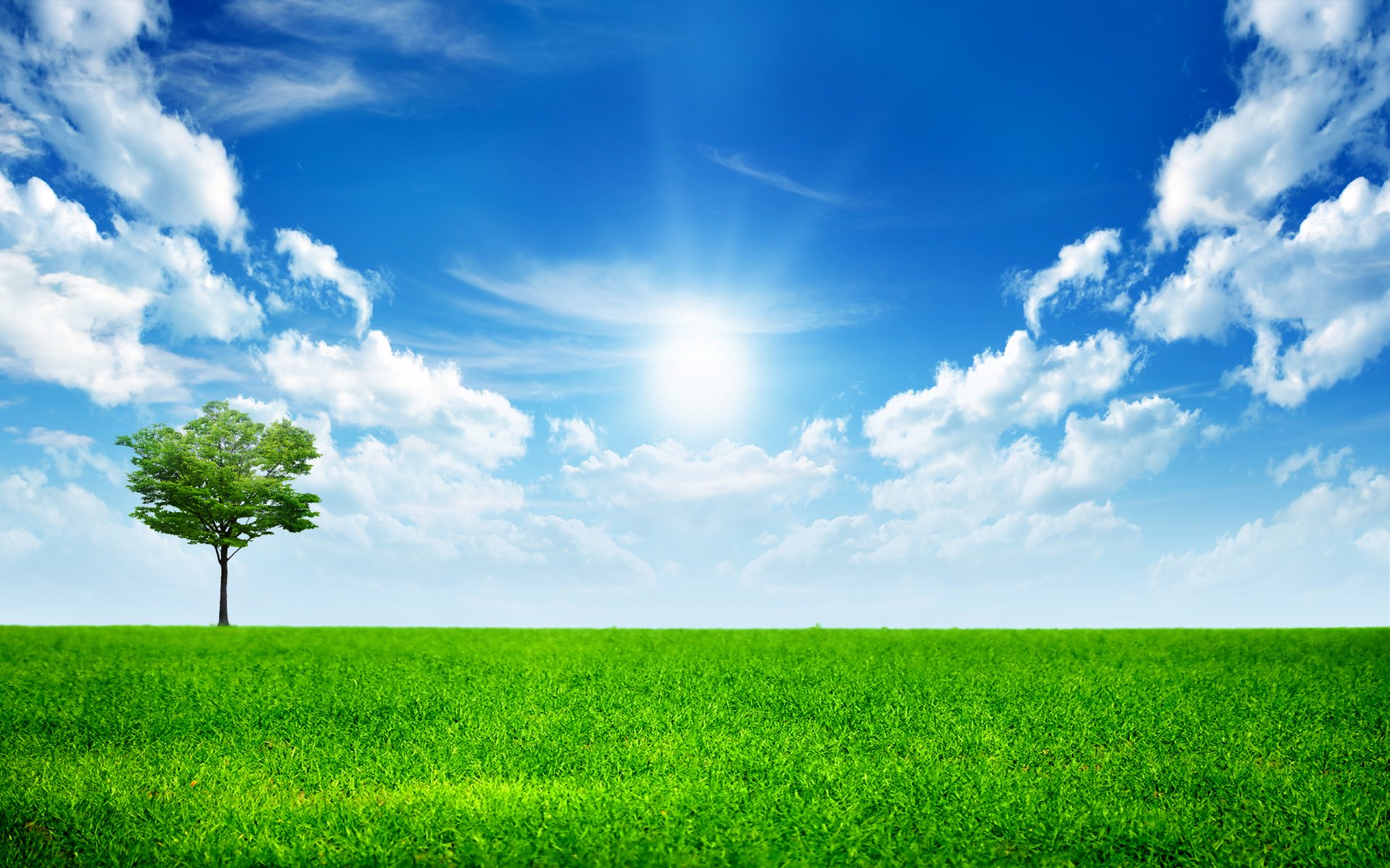 jeder ist einsam in dieser welt gras grün landschaft himmel sonne bäume wolken baum