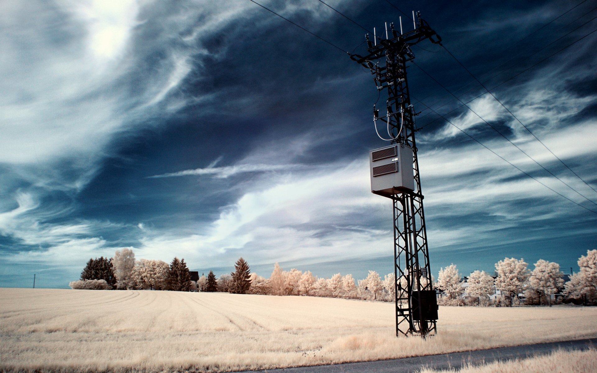 bäume feld pfosten drähte himmel