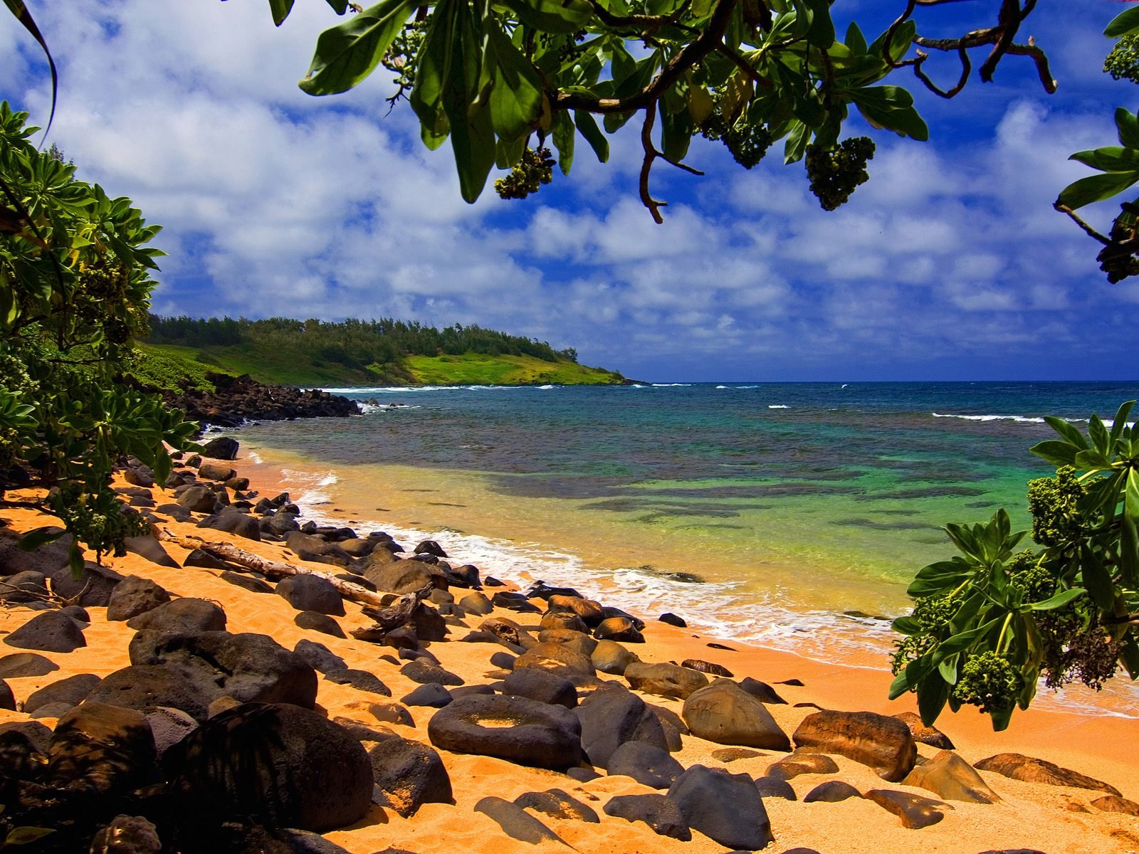 plage ombre moloaa kauai hawaii