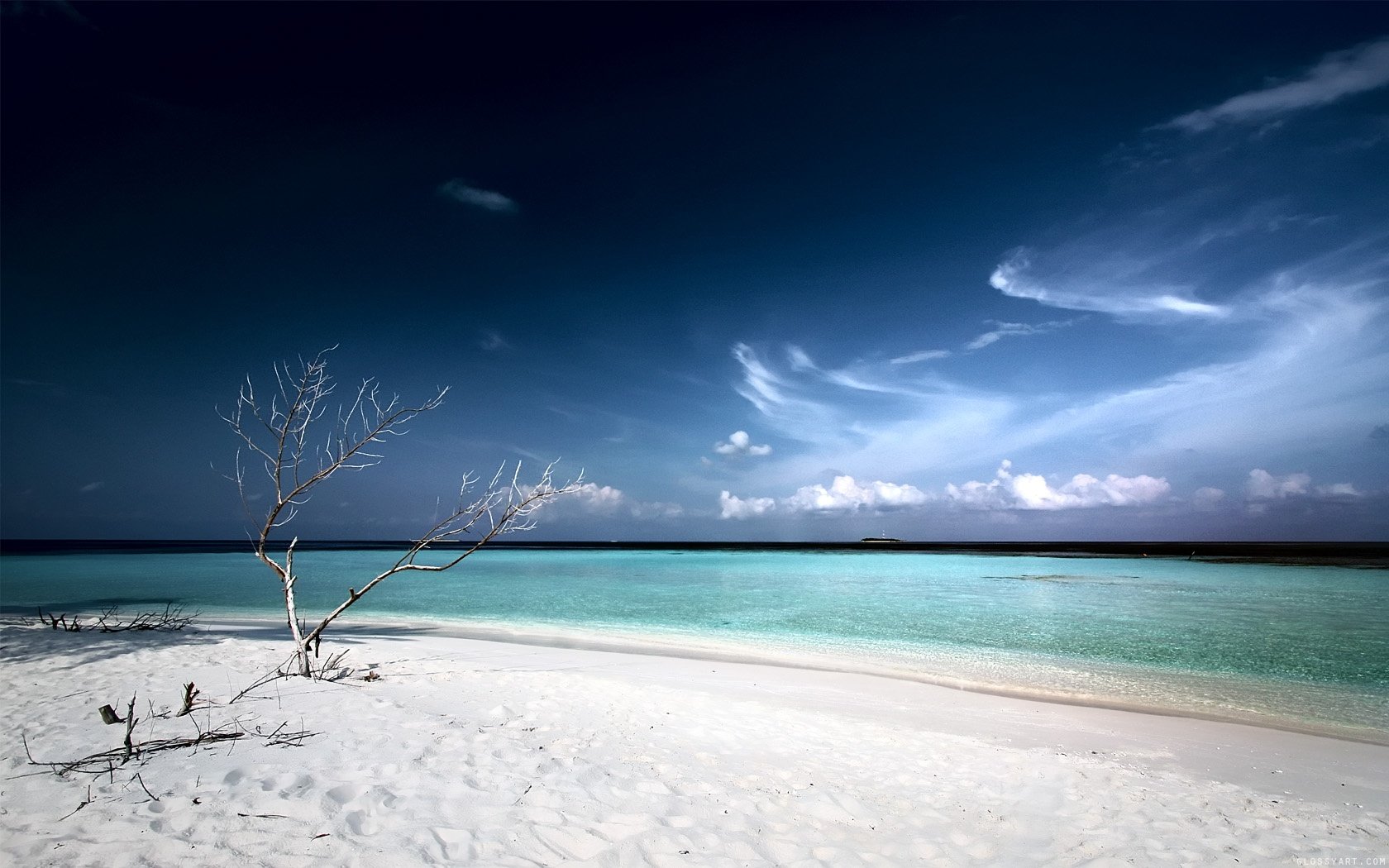 weißer sand strand lagune baum