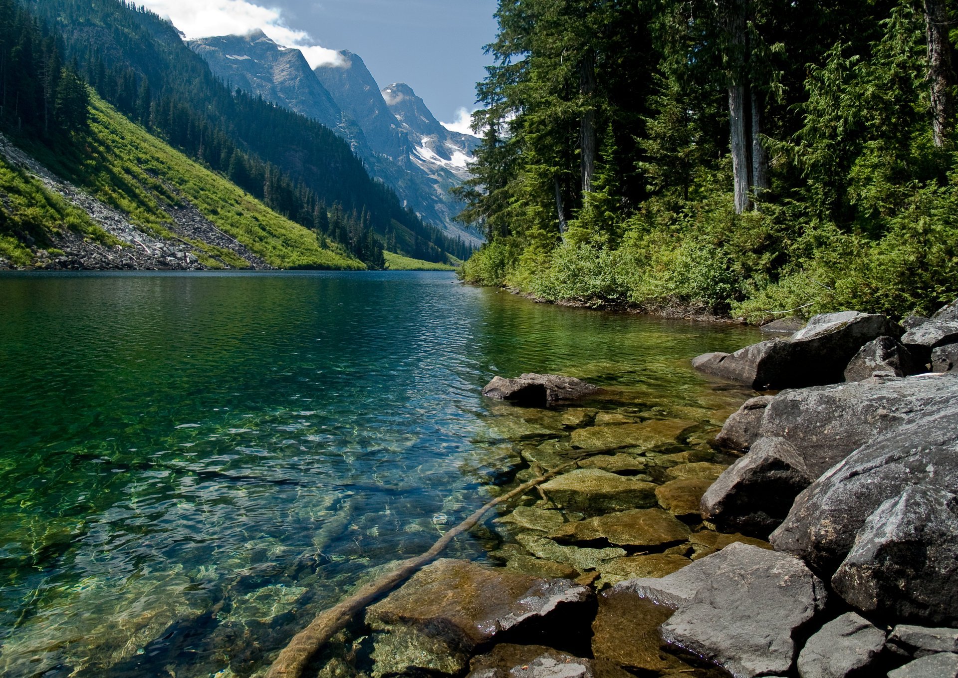 mountain tree mountain river water nature