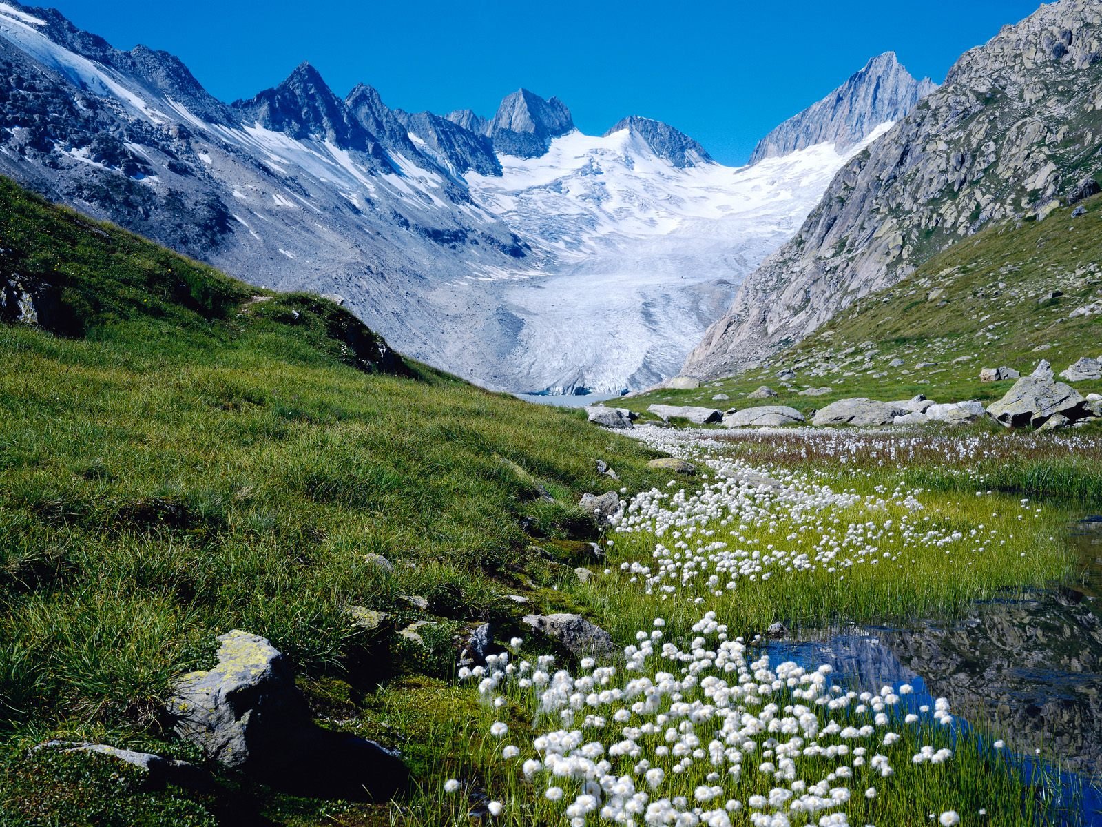 suisse montagnes neige