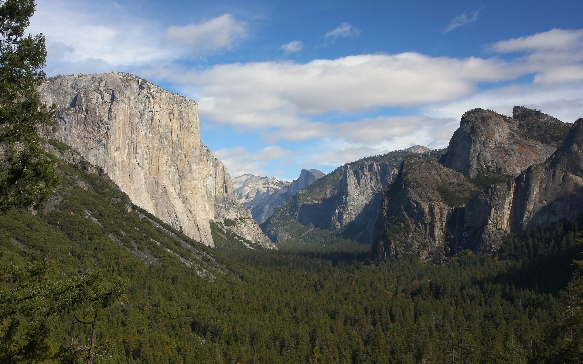 yosemite drzewa chmury