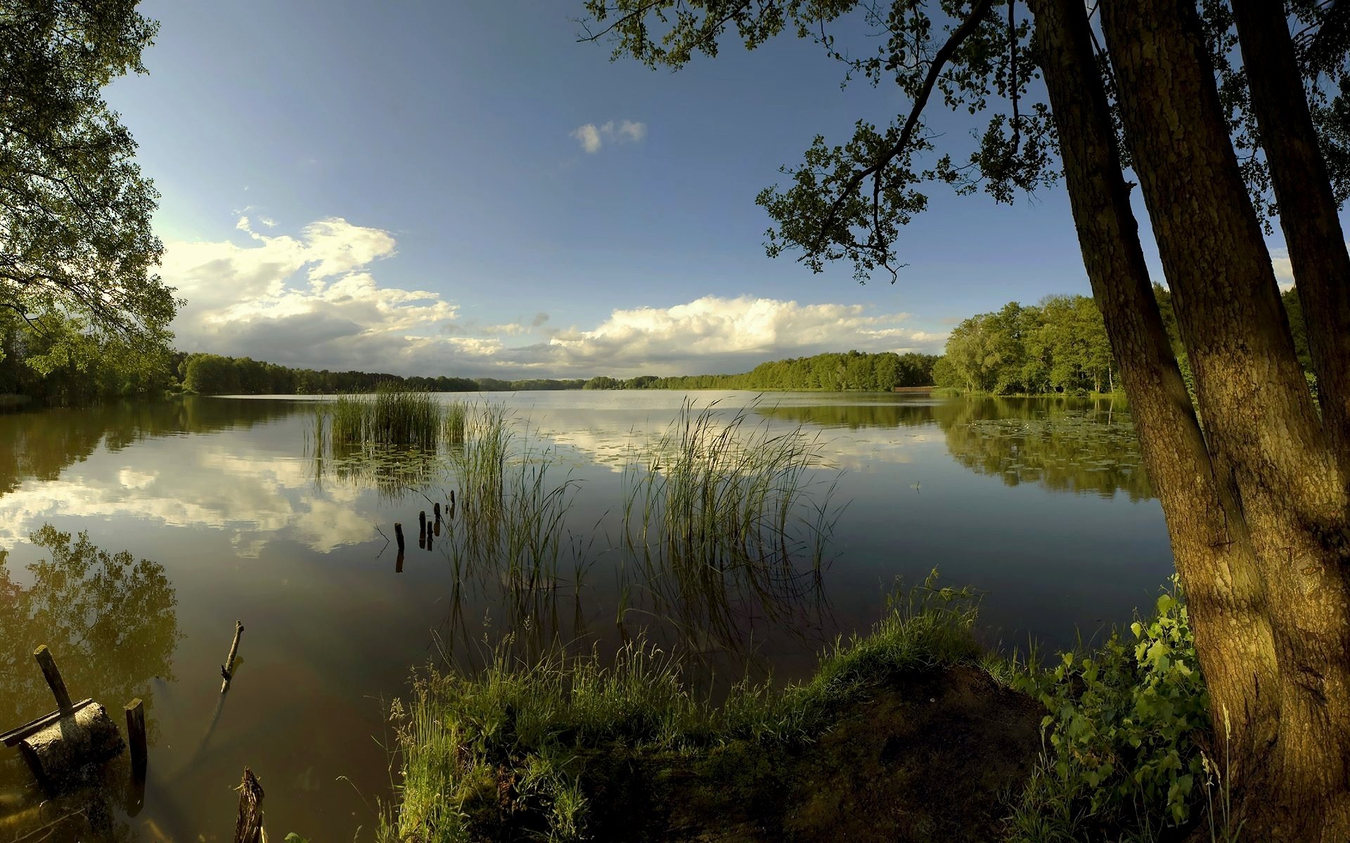 lac surface arbres nuages