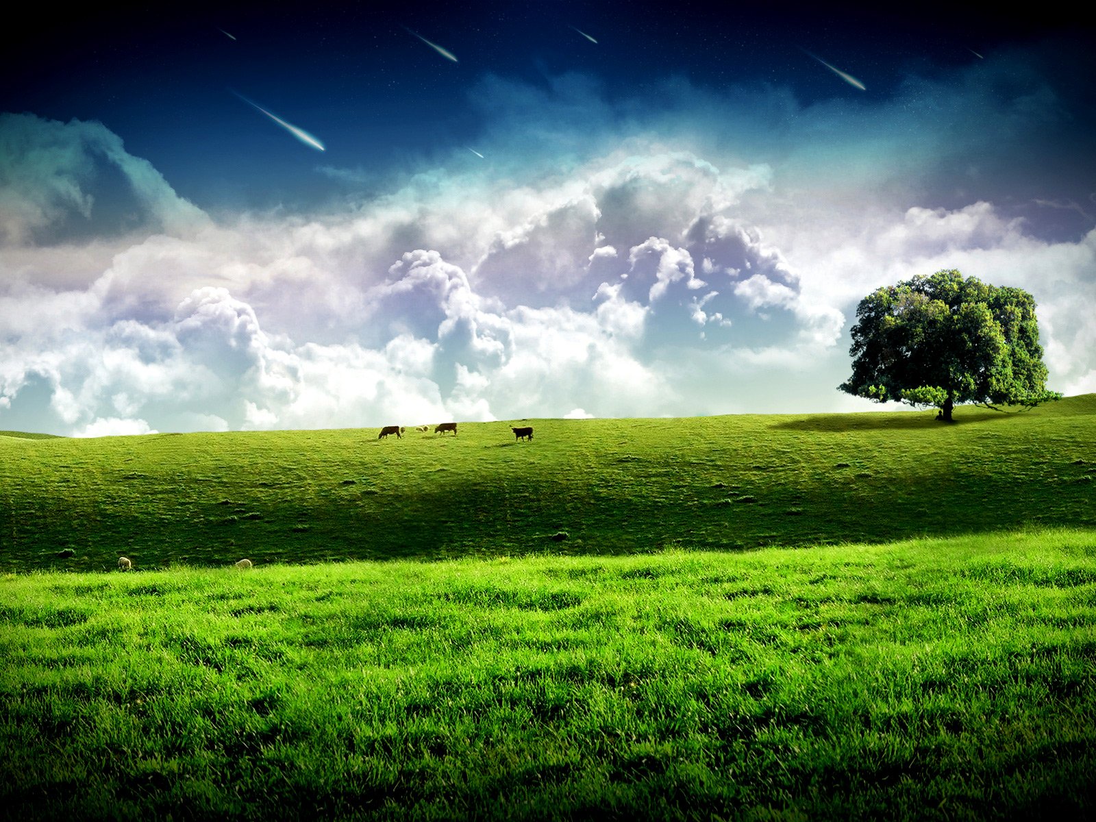 baum feld wolken kühe