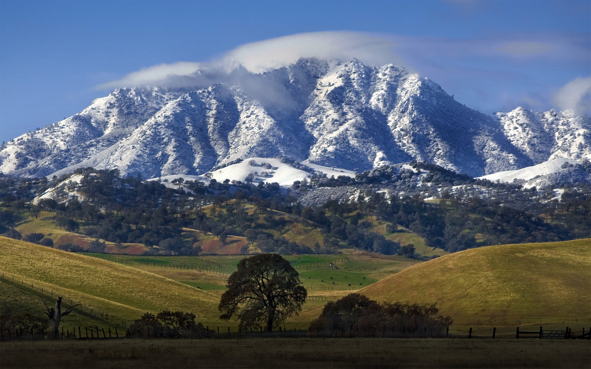 california mountain nature