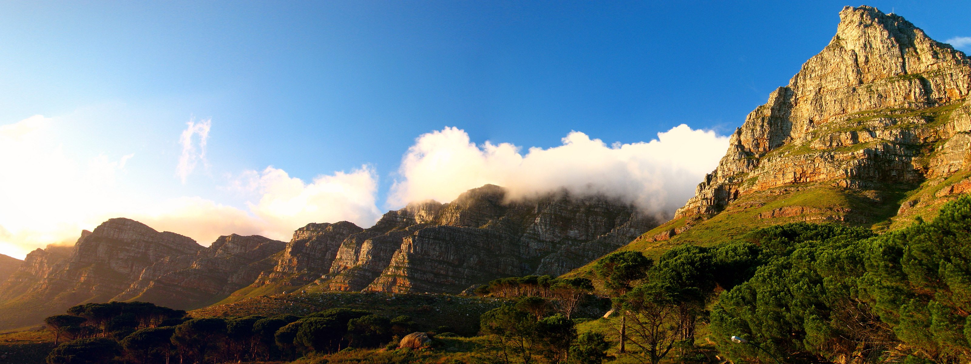 wide mountain forest