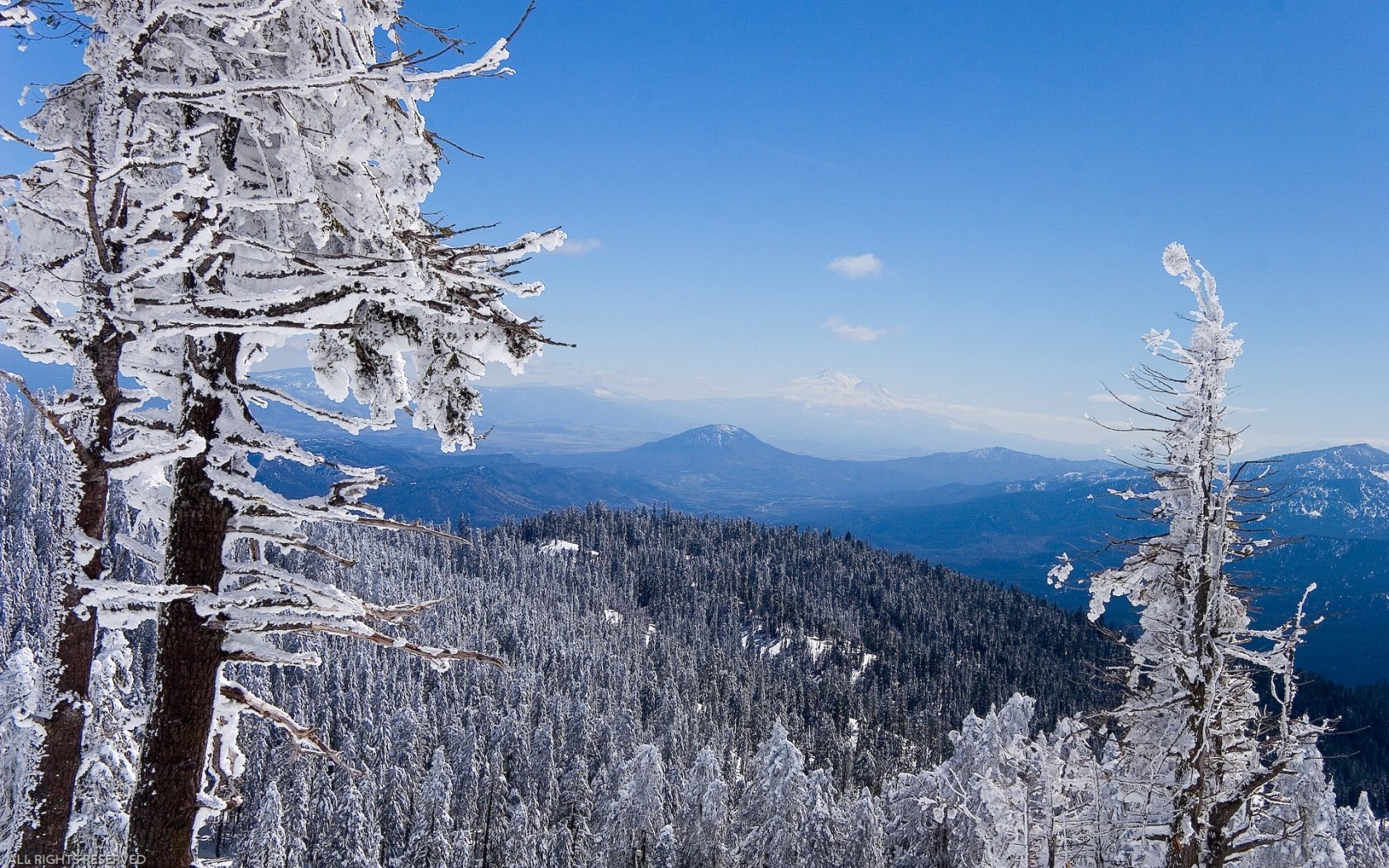 montañas bosque invierno