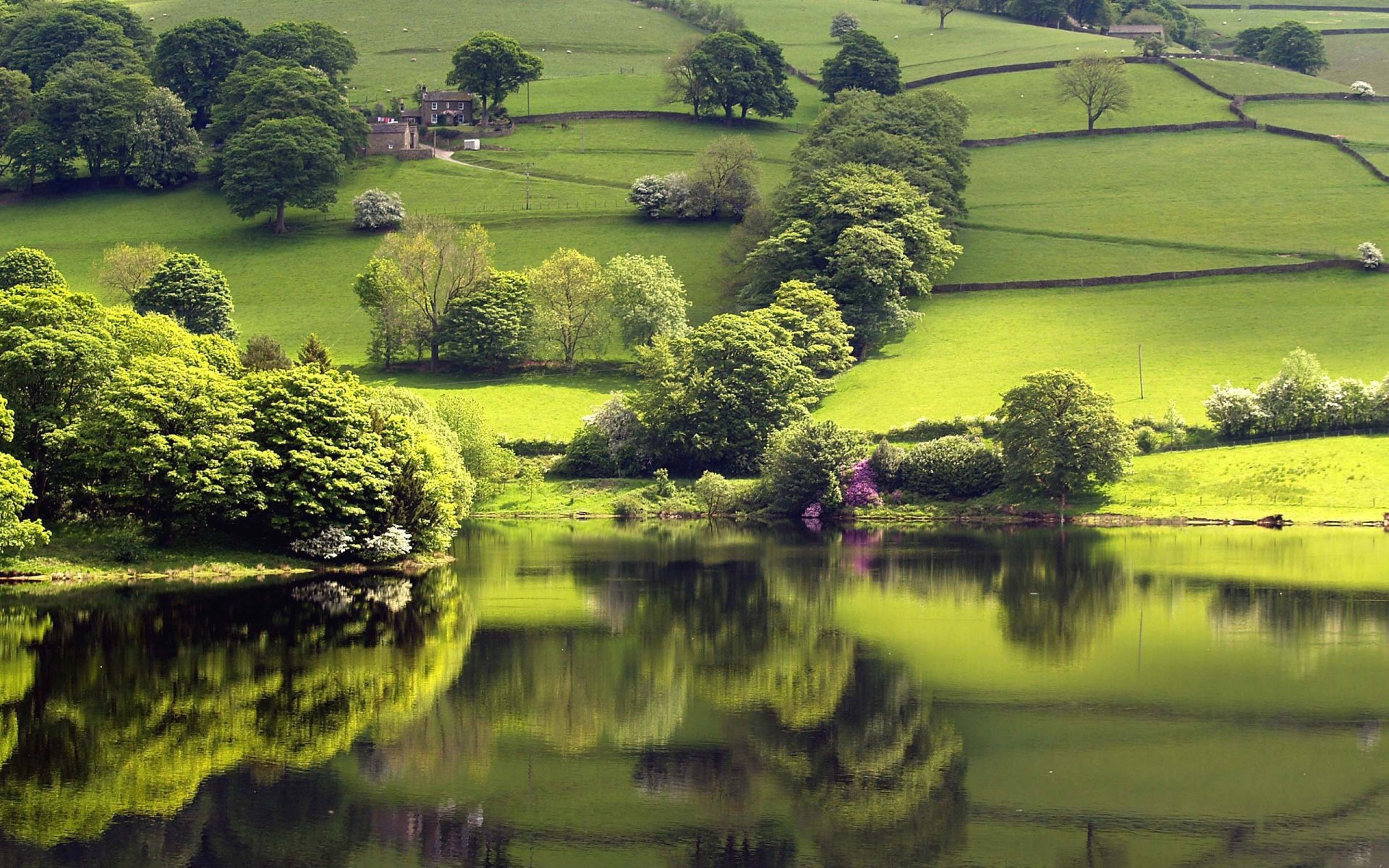 green reflection lake