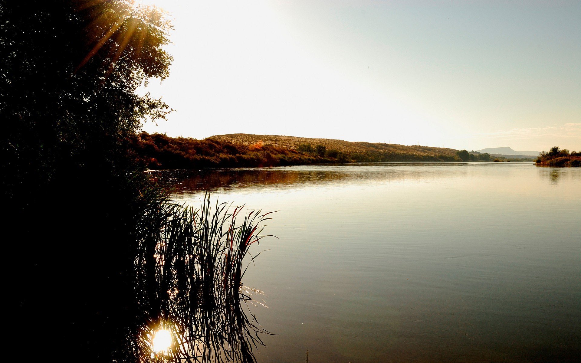 lago cespuglio albero colline raggi di sole