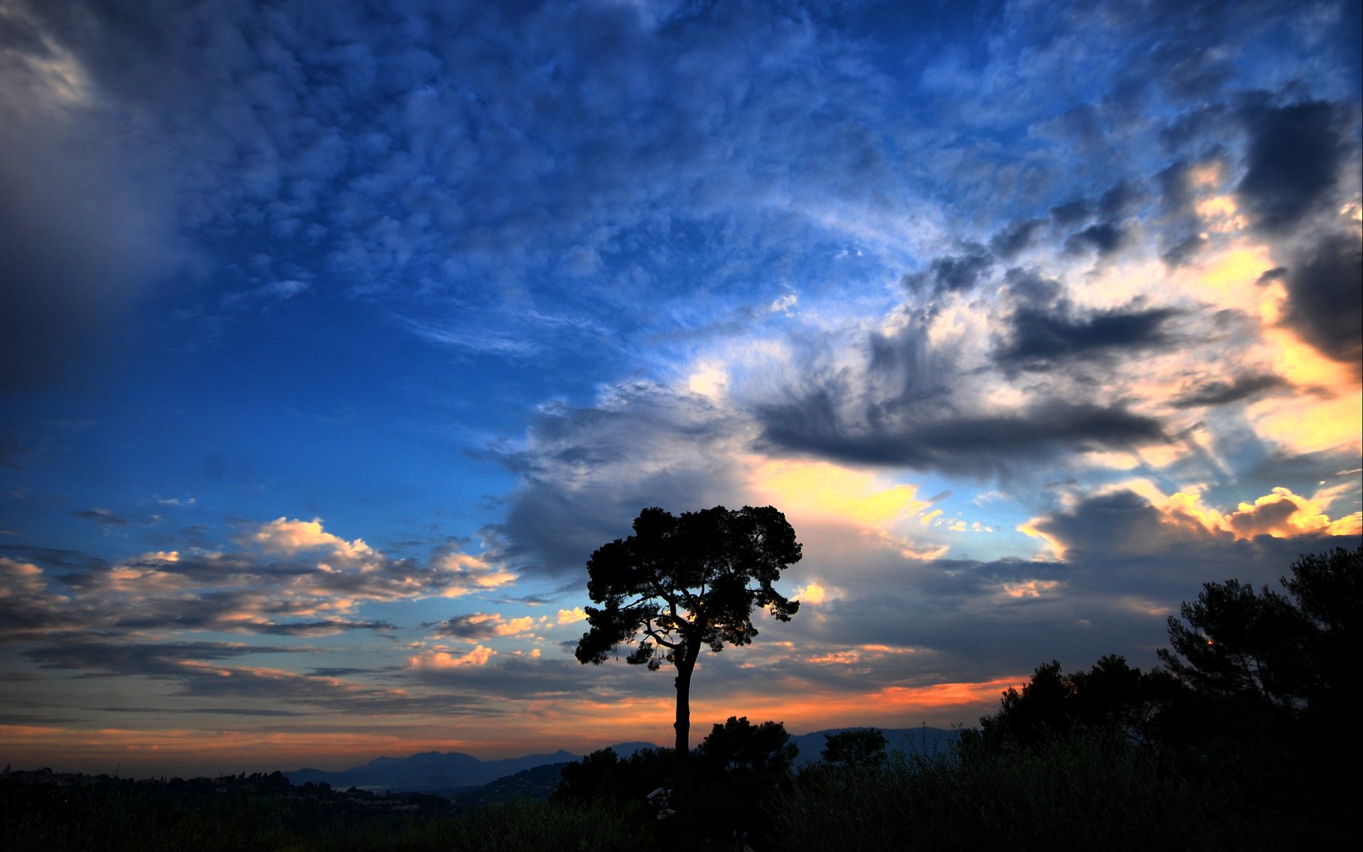 baum himmel wolken