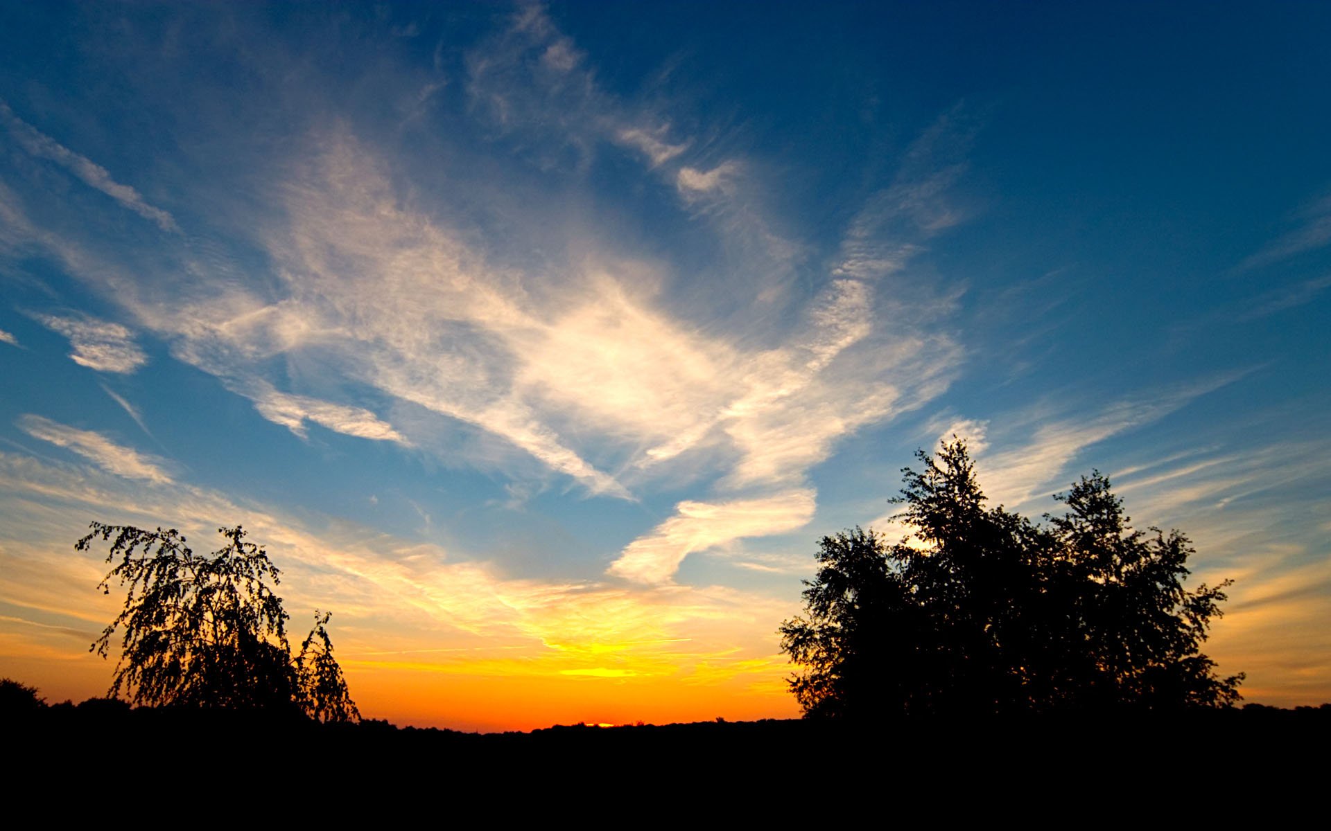 puesta de sol nubes árboles