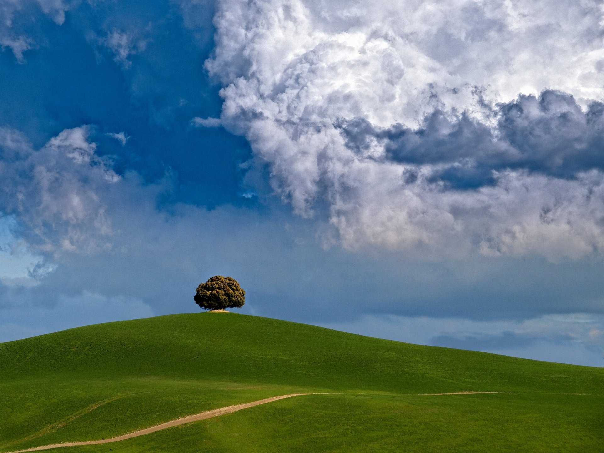 colline arbre nuages