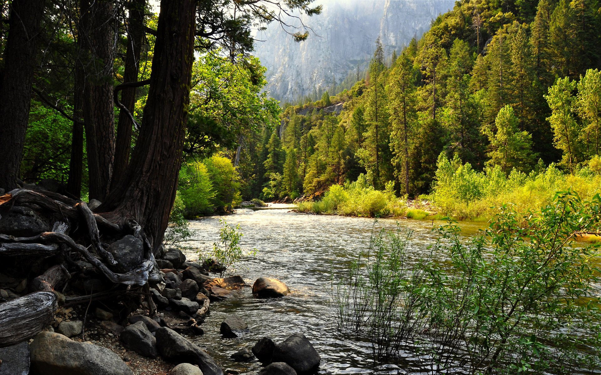 stati uniti foresta lago california yosemite