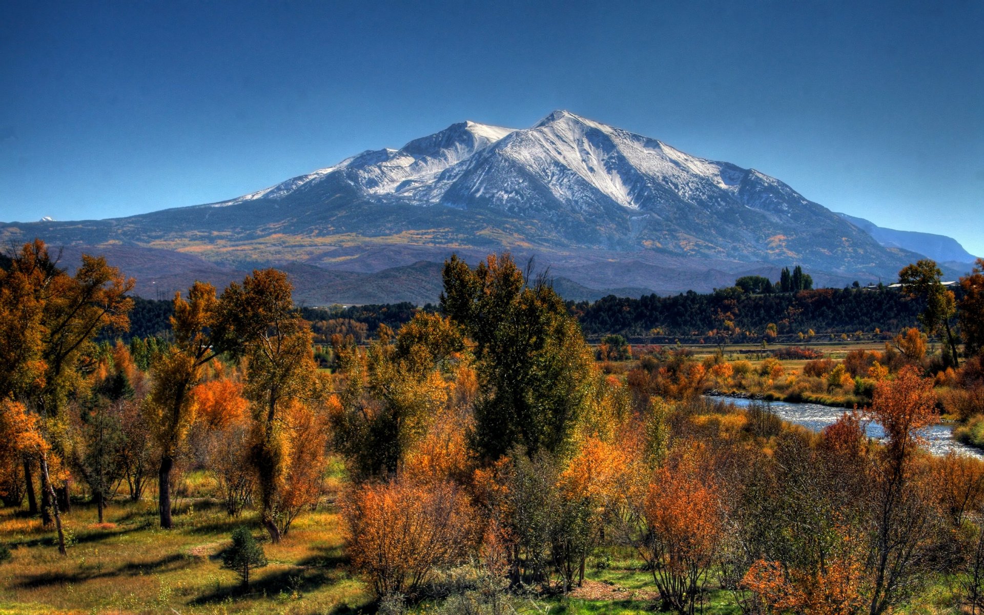 montaña otoño árboles