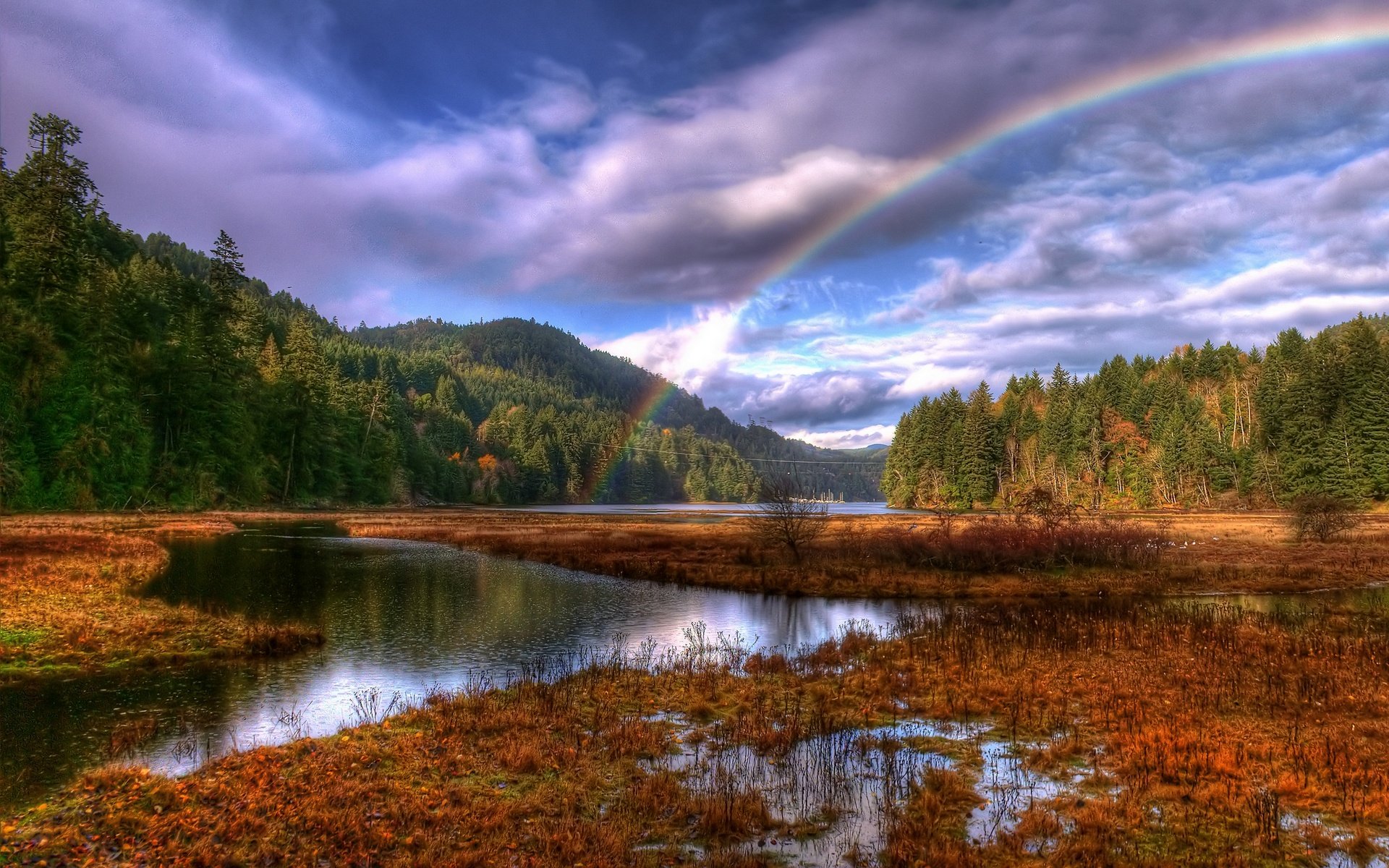 foresta arcobaleno nuvole