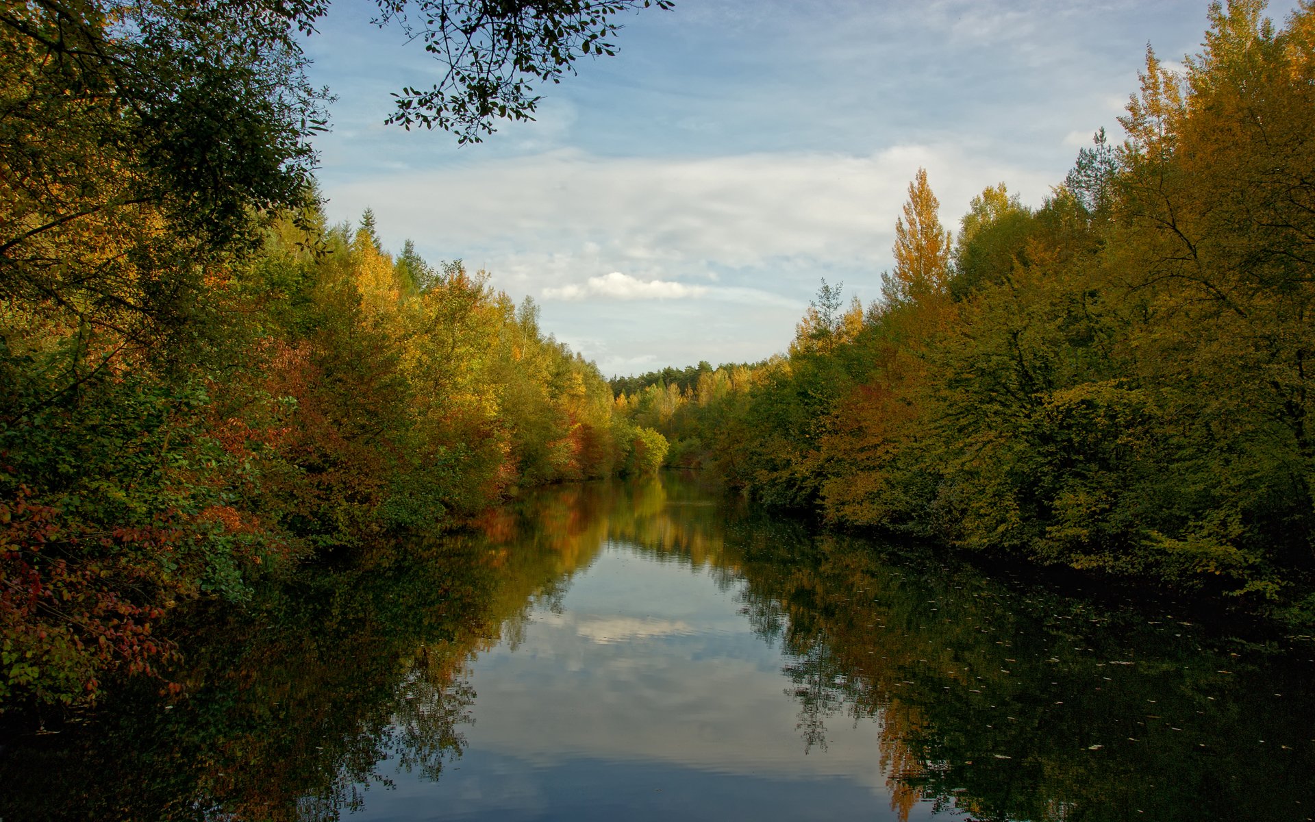 bosque agua árboles nubes