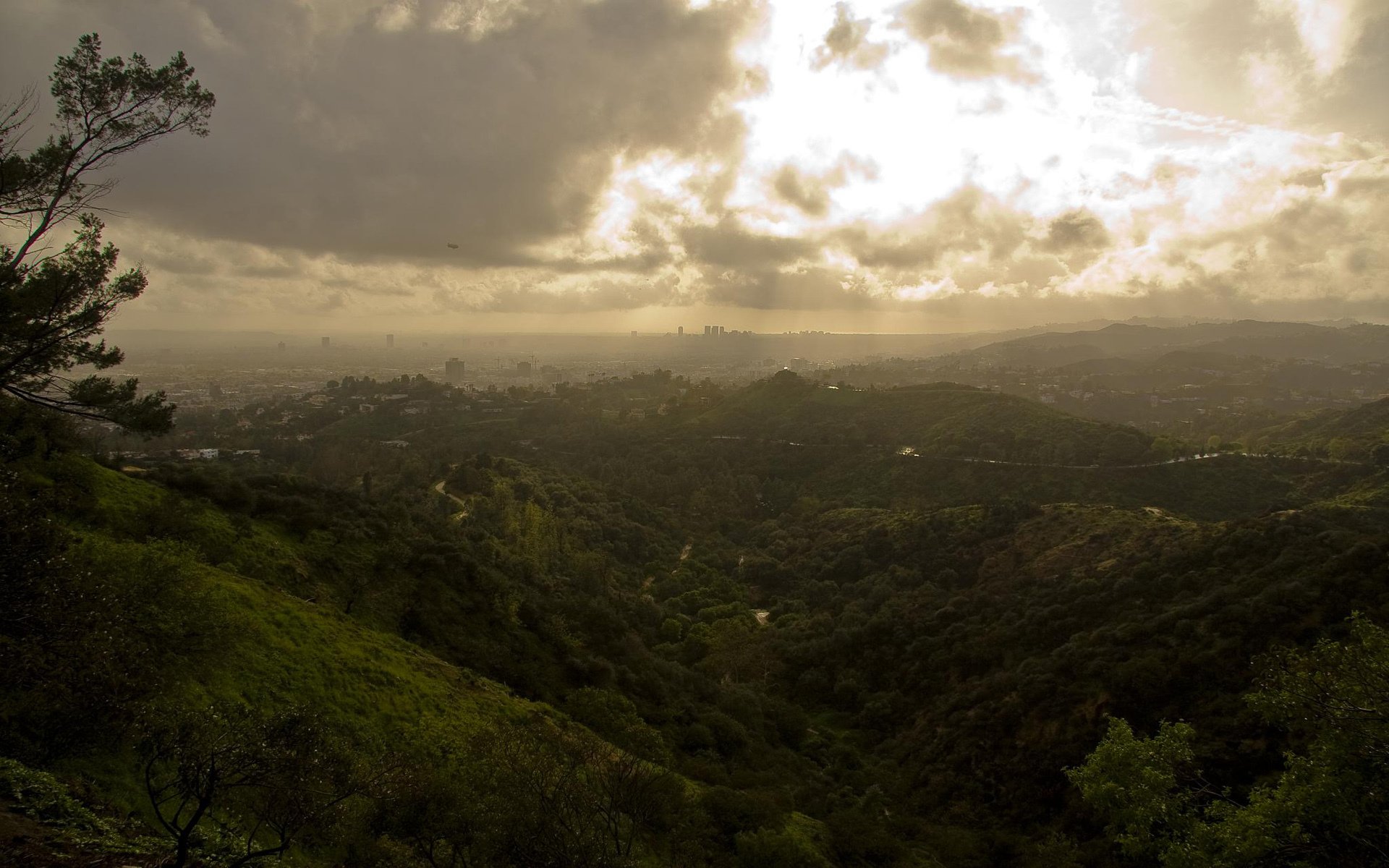 los angeles griffith park grün wolken