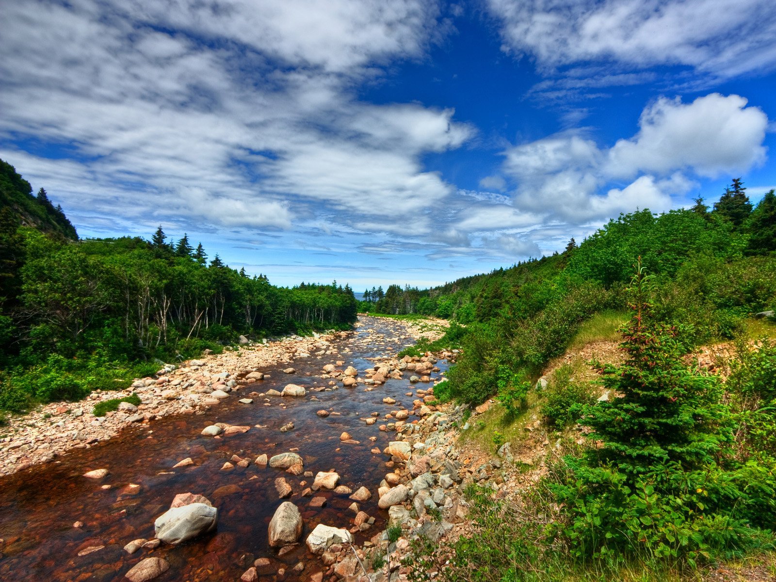 wasser steine wald bäume himmel