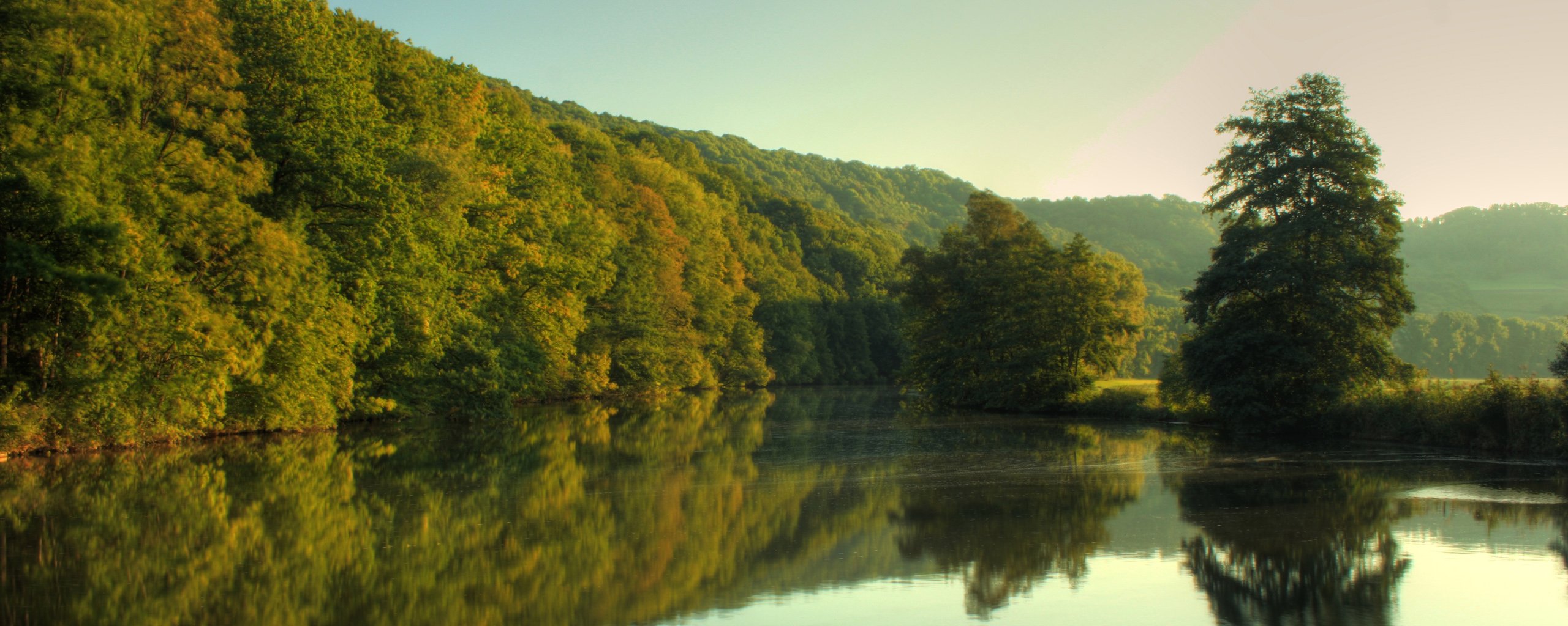 río bosque árboles